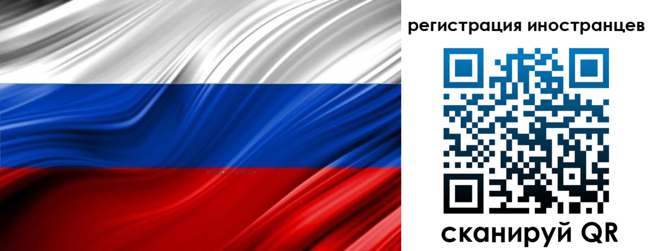 миграционный учет в Ленинградской области